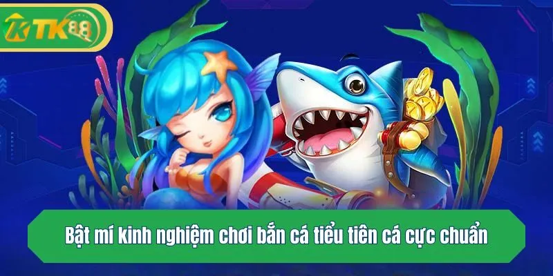 Bật mí kinh nghiệm chơi bắn cá tiểu tiên cá cực chuẩn