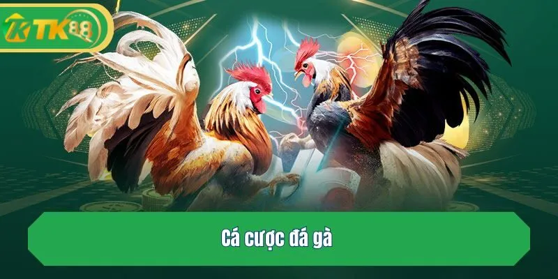 Cá cược đá gà 