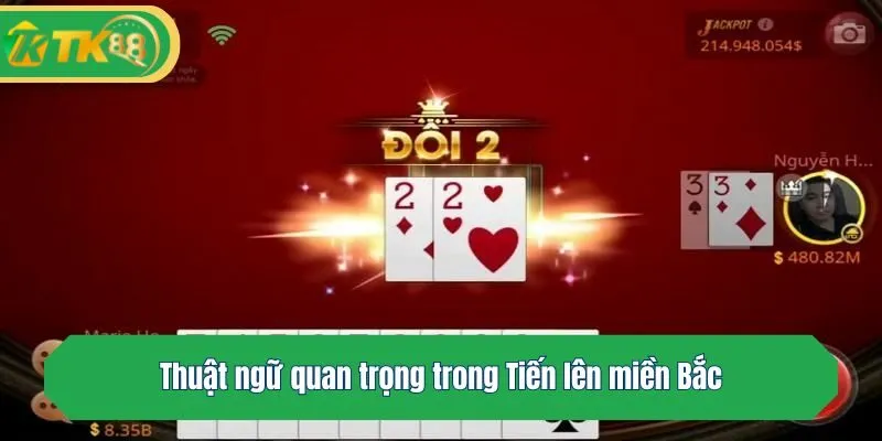 Thuật ngữ quan trọng trong Tiến lên miền Bắc