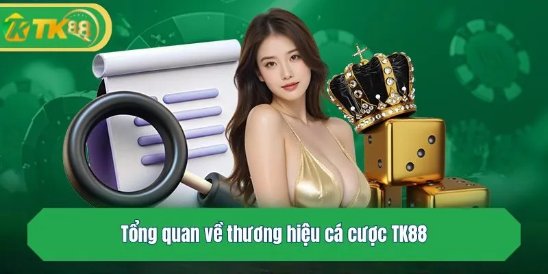 Tổng quan về thương hiệu cá cược TK88